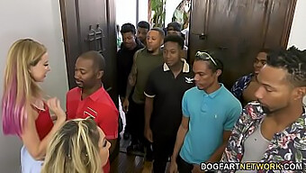 Haley Reed And Her Mom Kiki Daire Engage In A Wild Group Sex Session With 12 Black Men