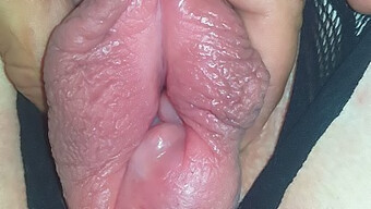 Une Fille Amateur De 18 Ans Atteint Un Orgasme Intense Avec Une Stimulation Extrême