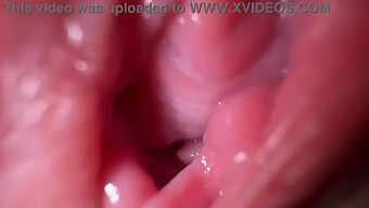 Intense Closeup Of Pussy Talk And Gaping In Dirty Video 4