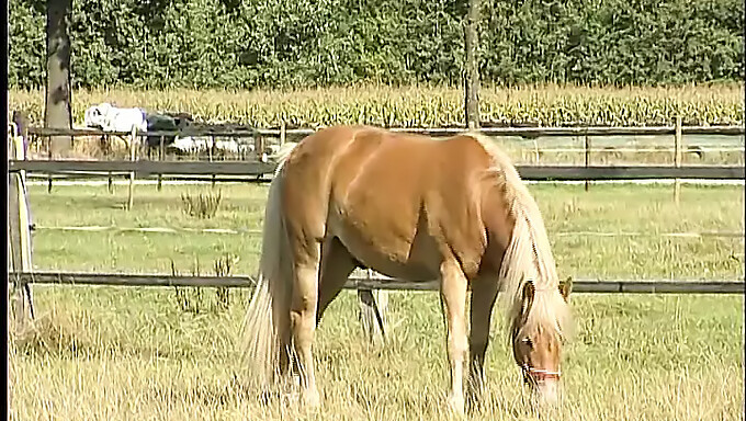 Mladá farmárka si užíva v lese