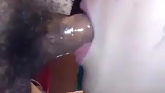 Slurvete Asiatisk Blowjob Og Cumshot