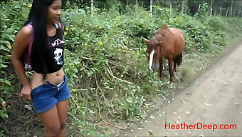 Explore The Jungle With Hd Pee Fun